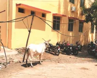 लापरवाही : अस्पताल परिसर में झूलते बिजली के तार