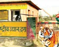 तहसील ने भी कर दी नियम विरुद्ध रजिस्ट्री, डीएफओ ने कलक्टर से लगाई कार्रवाई की गुहार