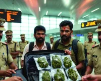 मुंबई एयरपोर्ट पर कार्रवाई : ट्रॉली बैग से निकला 8.56 करोड़ का गांजा,  2 श्रीलंकाई नागरिक धरे