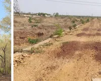 बॉटनीकल गार्डन में फायर लाइन के नाम पर 38 लाख का घोटाला, जानें पूरा मामला 