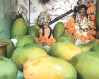 जयपुर स्थित गोगाजी महाराज मंदिर में सजी आम मनोरथ झांकी