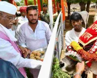 राज्यपाल बागडे निमेड़ा स्थित श्री श्याम गौशाला पहुंचे, भागवत कथा में सम्मिलित हुए