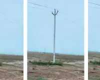 असर खबर का : वन विभाग ने एयरपोर्ट निर्माण एजेंसी को थमाया नोटिस, दर्ज की एफआईआर