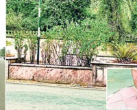 स्मार्ट सिटी में लापरवाही की तस्वीर! करोड़ों के डिवाइडर हुए बैरंग, टाइलें चोरी और सूखे पौधों ने खोली व्यवस्था की पोल