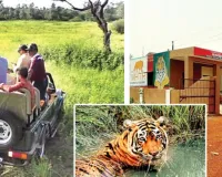  मुकुंदरा के बोराबास में इसी माह शुरू होगी नई जंगल सफारी, पर्यटकों को ऐतिहासिक धरोहरों व वन्यजीवों का मिलेगा रोमांच