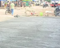लाल बहादुर शास्त्री बस स्टैंड का बदलेगा स्वरूप, सीसी सड़क निर्माण कार्य तेज