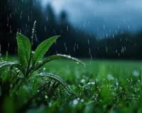 Weather Update : राजस्थान में फिर सक्रिय हुआ मानसून, 7 जिलों में ऑरेंज अलर्ट, 24 में येलो अलर्ट