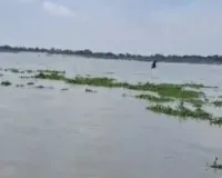 कानपुर में गंगा नदी में उफान : जलस्तर बढ़ने से गहराया बाढ़ का खतरा, लोगों के घरों में घुसा पानी