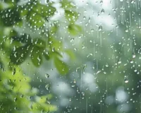 Weather Update : राजस्थान में फिर सक्रिय हुआ मानसून, 17 जिलों में येलो अलर्ट