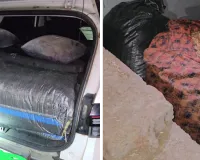 बेगूं में सीबीएन की बड़ी कार्रवाई, 73.150 किलो डोडाचूरा व वेन्यू कार जब्त