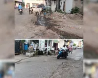 बुनियादी सुविधाओं का अभाव : टूटी सड़कें, अंधेरा और कचरे के ढेर की कड़वी सच्चाई
