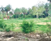 असर खबर का : जिला प्रशासन ने जेडीबी आर्ट्स प्राचार्य से मांगा जवाब