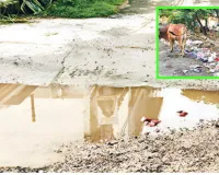 नामी इलाकों में समस्याओं का अंबार, सुविधाएं बदहाल
