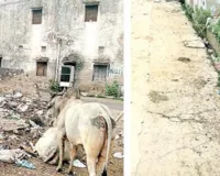 कहीं सफाई-रोशनी बेहाल, कहीं चंबल के शहर में पानी का इंतजार