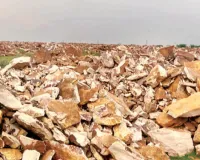 वन अपराध दिखा फिर भी नहीं रोका, कार्रवाई में देरी से सवालों के घेरे में अफसरों की कार्य प्रणाली