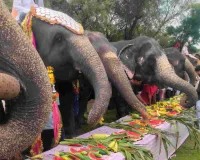हाथी गांव में सजा शाही हाथी फैशन शो: विश्व हाथी दिवस पर पारंपरिक पोशाक और प्राचीन आभूषणों से सजे हाथियों ने किया रैंप वॉक, संरक्षण का दिया संदेश 