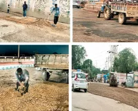 असर खबर का: चम्बल पुलिया समेत शहर के सभी मुख्य मार्गों पर शुरू हुआ सड़कों का पेचवर्क