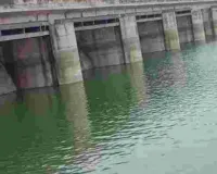 राजस्थान के बांधों में जलभराव 48.89% पहुंचा, 24 घंटे में 11.36 एमसीएम पानी बढ़ा 