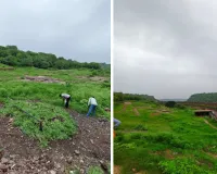 रणथम्भौर में कचरे के ढेर के पास दिखा सांभर, वन विभाग ने एएसआई को जारी किया नोटिस