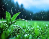 Weather Update : राजस्थान में 13 जिलों में आंधी-बारिश का येलो अलर्ट, जानें आने वाले दिनों में कैसा होगा मौसम का हाल