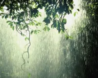 Weather Update : जयपुर-भरतपुर संभाग में बारिश के आसार, जानें आने वाले दिनों में कैसा रहेगा मौसम