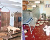 आंगनबाड़ी में मासूमों को एक्सपायरी पोषाहार, टूटे खिलौने और जर्जर छत