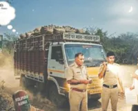 असर खबर का : मुकुंदरा टाइगर रिजर्व के दो वन रक्षकों को मिली चार्जशीट