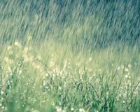 Weather Update : जयपुर सहित कई जिलों में बारिश का दौर जारी, 24 जिलों में येलो अलर्ट