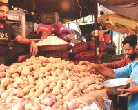 आलू सस्ता, फिर भी किसान बेहाल : प्याज महंगा, तो रसोई का बजट बिगड़ा