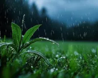 Weather Update : जयपुर सहित कई जिलों में बारिश का दौर जारी, जानें आने वाले दिनों में कैसा रहेगा मौसम