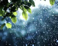 Weather Update : प्रदेश में मानसून फिर सक्रिय होने के आसार, 11 सितंबर से बारिश का नया दौर