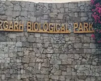 नाहरगढ़ बायोलॉजिकल पार्क में बड़ी कार्रवाई : रेंजर समेत तीन APO, बाघ के हमले में महिला मजदूर की मौत के बाद वन विभाग सख्त