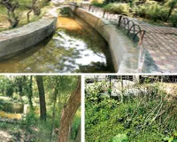 सालाना 7.68 लाख खर्च, फिर भी सूखे पौधे और गंदगी