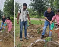 अभेड़ा बॉयोलॉजिकल पार्क में दैनिक नवज्योति ने किया पौधारोपण