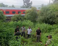 अब भैंसरोडगढ़ सेंचुरी में तैयार होगी टाइगर की फूड चेन