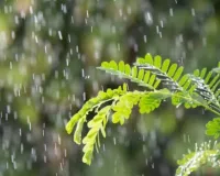Weather Update : चक्रवात अर्नब का राजस्थान में दिखेगा असर, 30 अक्टूबर को 22 जिलों में बारिश का अलर्ट