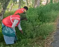 असर खबर का : हाईवे किनारे शुरू हुआ सौंदर्यीकरण कार्य, झाड़ियों और कंटीले बबूल की सफाई शुरू