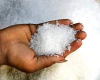 चीनी स्टॉक को लेकर दिल्ली सरकार सख्त, 15 अक्टूबर से 30 नवंबर तक प्रभावी होंगे नियम 