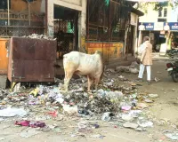असर खबर का : 12 दिन बाद खत्म हुई सफाई कर्मचारियों की हड़ताल, आज से वापस काम पर लौटेंगे