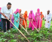 मुख्यमंत्री भजनलाल शर्मा के नेतृत्व में कृषि विकास की नई उड़ान, प्रधानमंत्री धन-धान्य कृषि योजना में राजस्थान की सशक्त पहचान