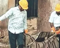 ग्वार-गम फैक्ट्री की लिफ्ट में आग, दो मजदूर जिंदा जले, नाइट शिफ्ट में 17 मजदूर कर रहे थे काम 