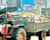 शिकंजा कसता रहा खनन विभाग, फिर भी नदियों में नहीं थमा रेत का खेल