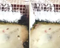 जलदाय विभाग की लापरवाही : पानी की टंकियों में गंदगी, बिना पहचान दौड़ रहे टैंकर