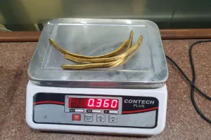 जयपुर एयरपोर्ट पर कस्टम विभाग की कार्रवाई, तार की शक्ल में छुपाकर लाया 360 ग्राम सोना पकड़ा