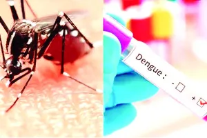 ब्राजील में डेंगू का बढ़ता प्रकोप, पिछले चार माह में 40 लाख से अधिक मामले