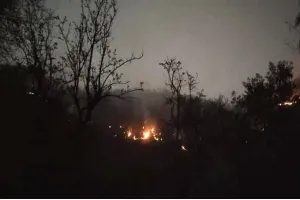 अलवर के सरिस्का के जंगल में फैली आग, वायुसेना जुटी आग बुझाने में