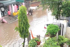 जयपुर में झमाझम, कोटा के लाडपुरा में 24 घंटो में 130 एमएम बारिश