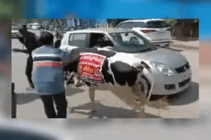 लंपी के विरोध में गाय को विधानसभा लेकर पहुंचे भाजपा विधायक, रस्सी छुड़ाकर भागी 