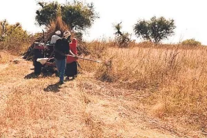 पशुओं के चारे पर भी पड़ी महंगाई की मार, घास की खुदाई कर रहे किसान