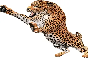 जंगल से सटा आधा नया कोटा, सैंकड़ों लोगों पर खतरा